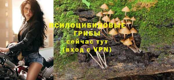 прущий лед Лагань